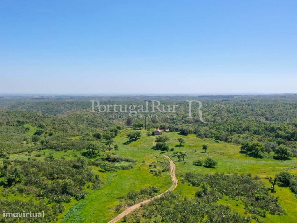 Herdade com 85 ha com viabilidade turística, a 15 km de Melides - Grande imagem: 3/11