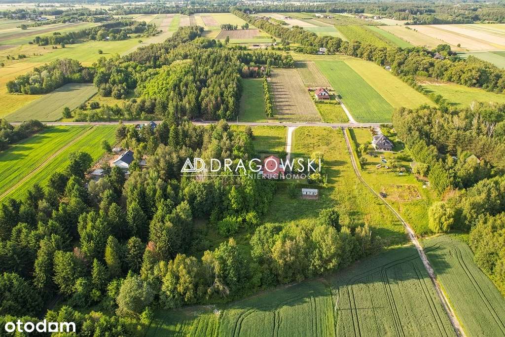 Działka ok 0,5 ha, spokój, natura, potencjał - Pełny obrazek: 1/2