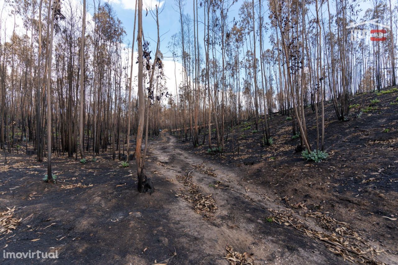 Terreno Rustico, Caranguejeira