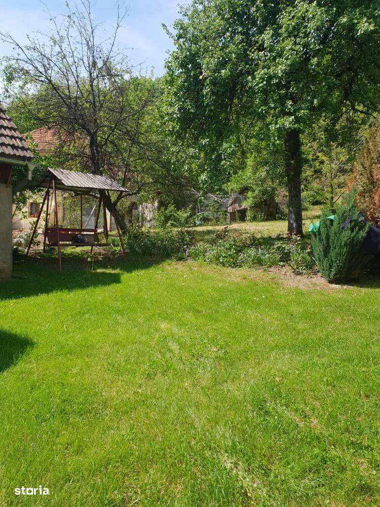 Vila P+E cu teren 2559 mp, vie, garaj, izvor - Borosteni, Gorj - Imagine principală: 2/19