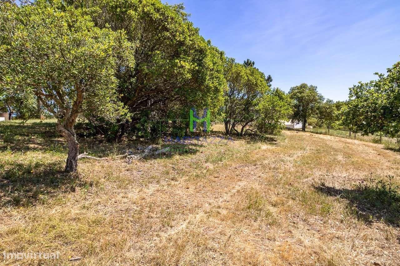 2 Parcelas de terreno rústico, com área total de 5.500 m2, com furo, p - Grande imagem: 2/14