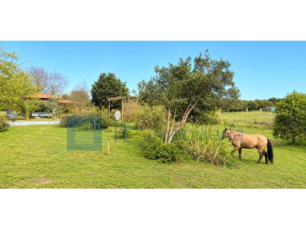 Monte alentejano / Quinta / Herdade-5