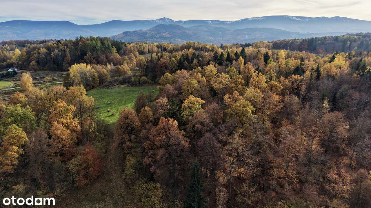 Działki budowlane Staniszów | 1201 m² i 1260 m² | Widok na Góry - Pełny obrazek: 5/5