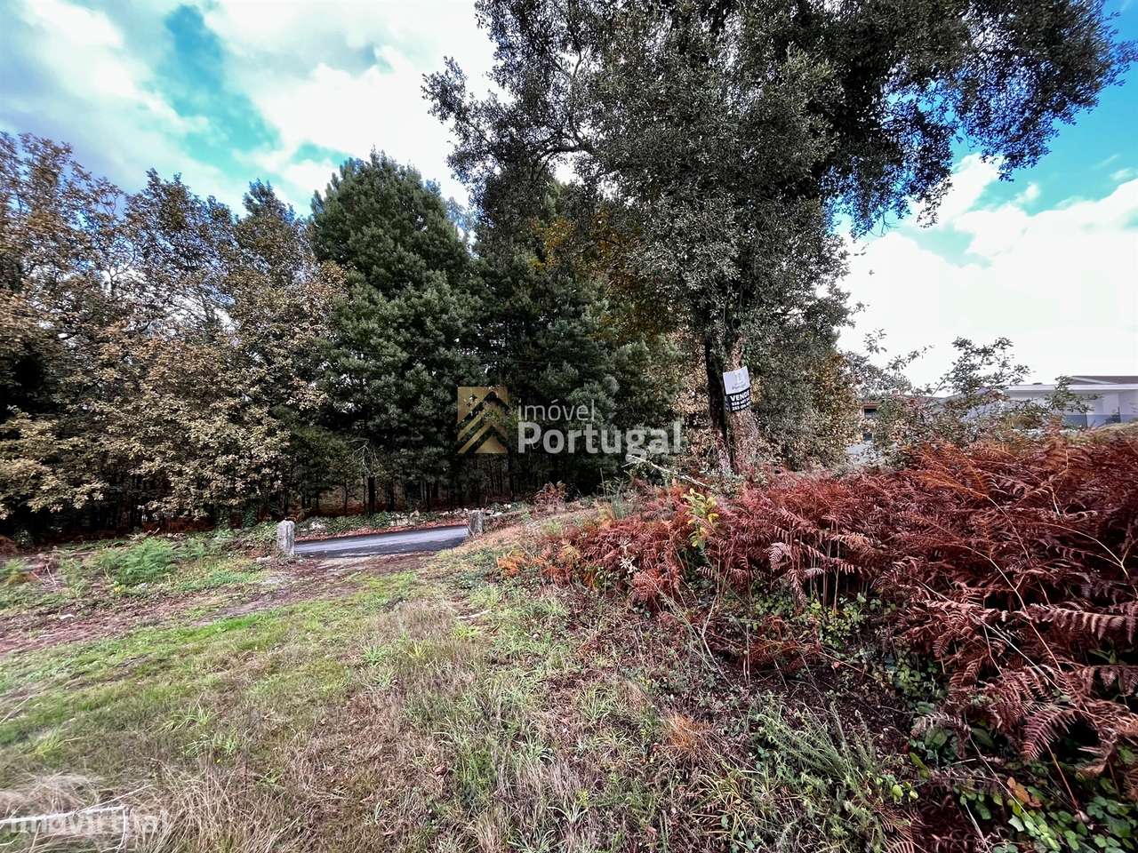 Venda Terreno 10.092,41m² para Construção Habitacional em Lago-10