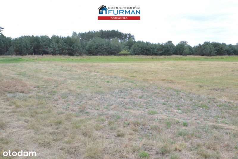 Działki budowlane, Straduń - Pełny obrazek: 4/19