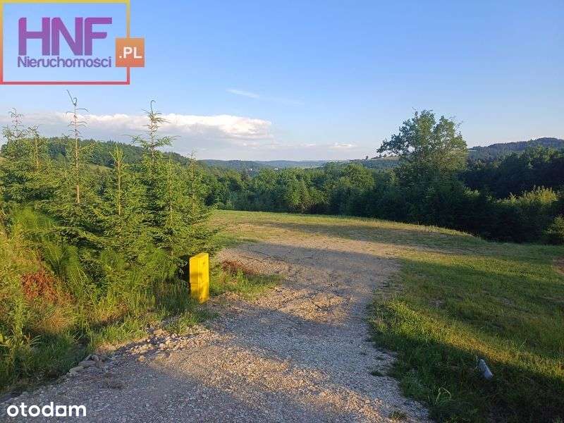 Malownicza działka w miejscowości Dzierżaniny 65ar - Pełny obrazek: 4/20