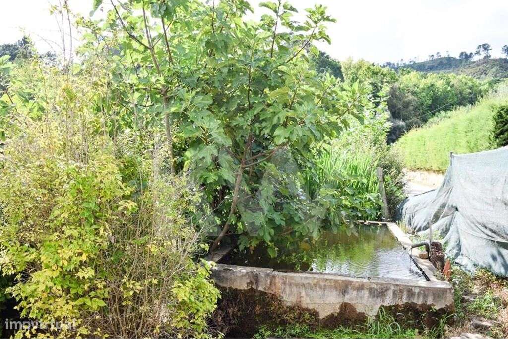 Moradia independente para reabilitar inserida num terreno de 1008m2 - Grande imagem: 5/42