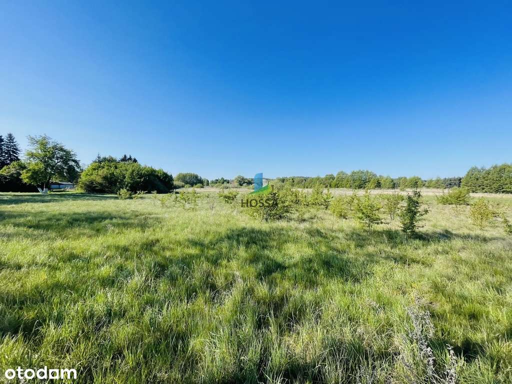 Działka w Litwinkach - Pełny obrazek: 5/8