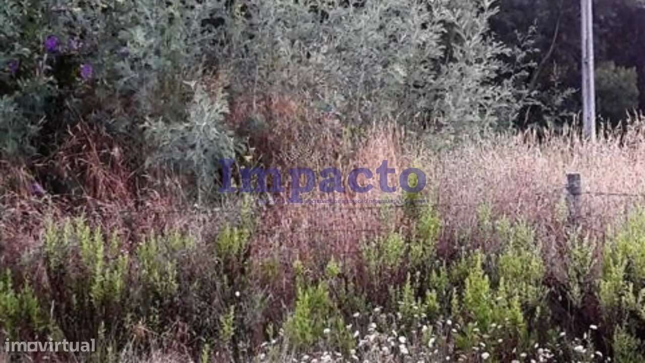 Terreno para construção Oliveira de Azeméis - Grande imagem: 3/3