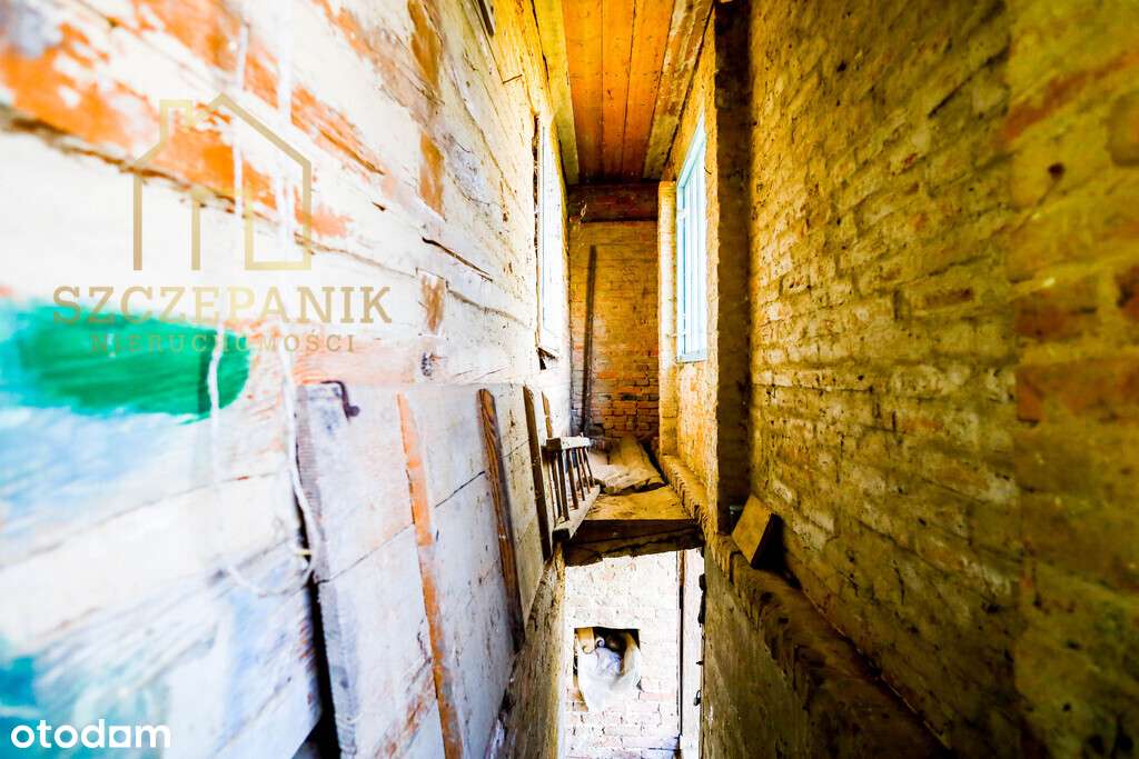 Klimatyczny, drewniany dom wśród drzew-17