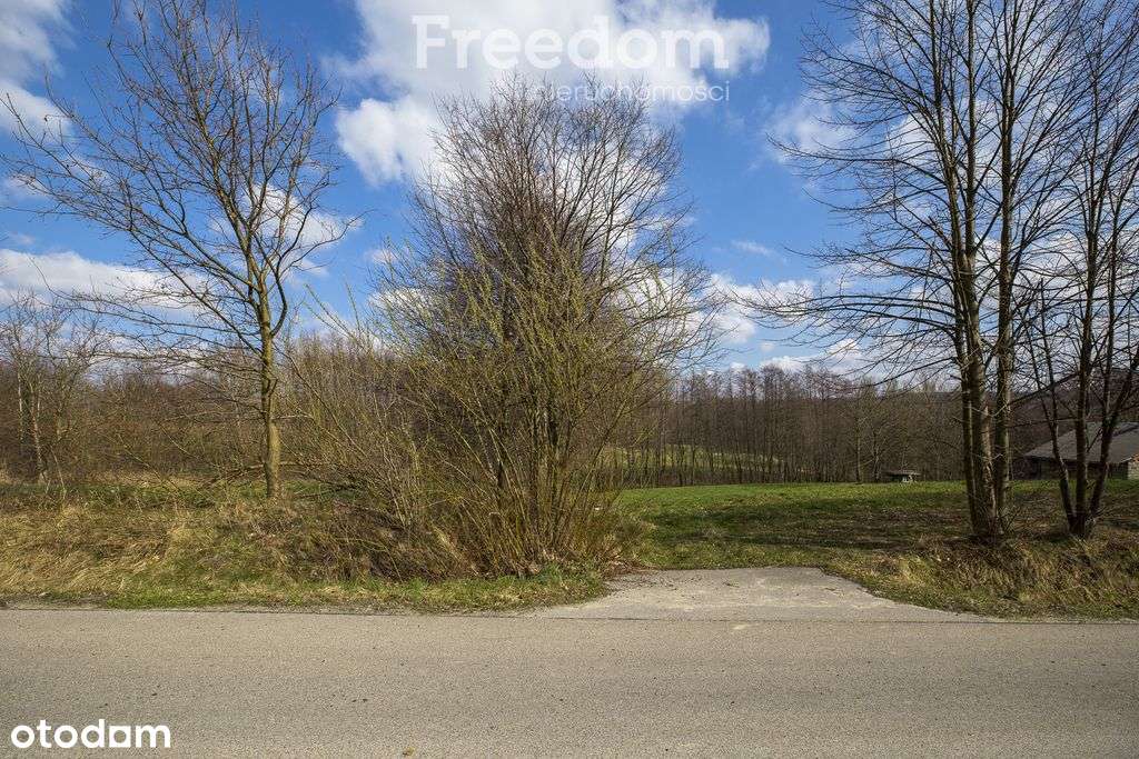 Działka rekreacyjna Lubenia, widokowe położenie - Pełny obrazek: 3/9