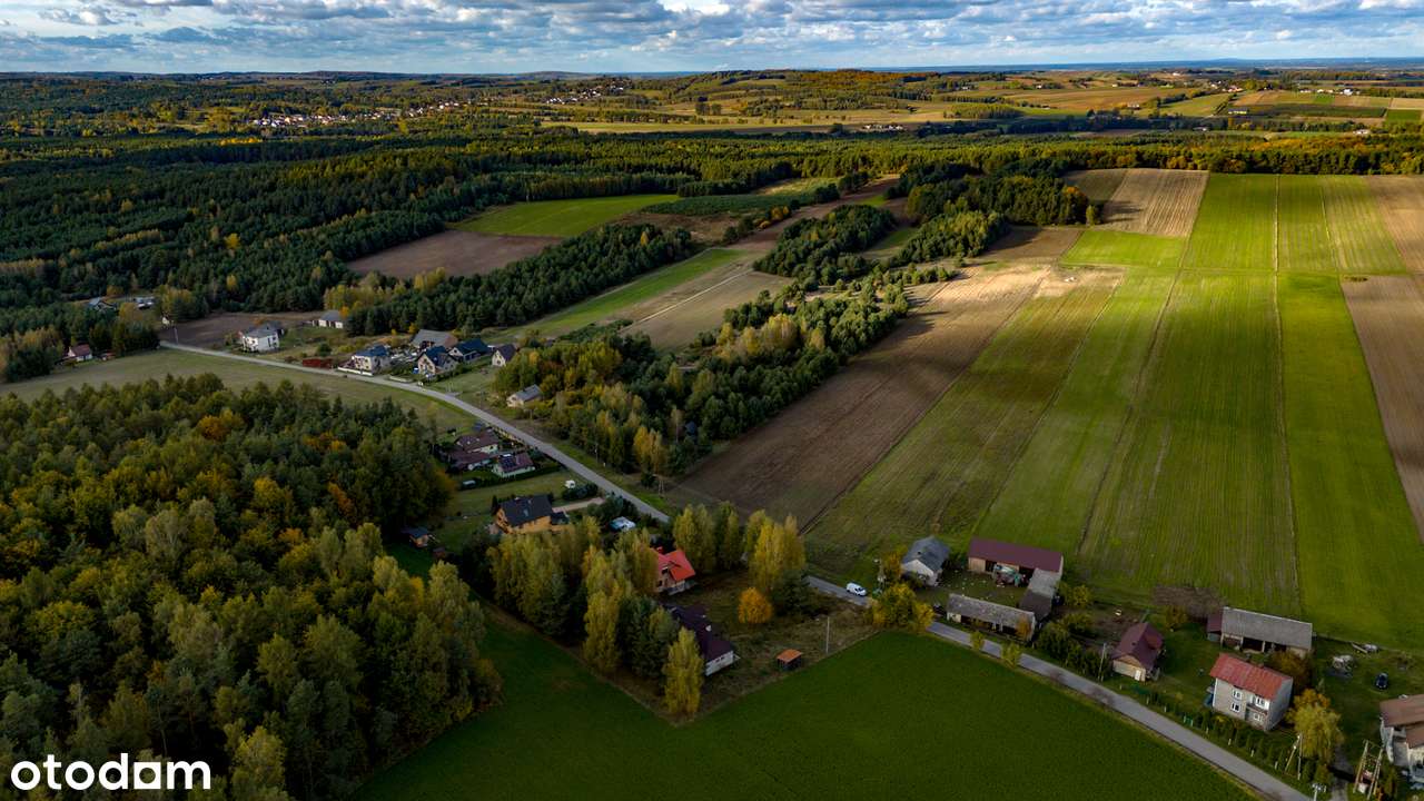 Dom na sprzedaż - Gołuchowice gmina Kroczyce - dom na JURZE-11