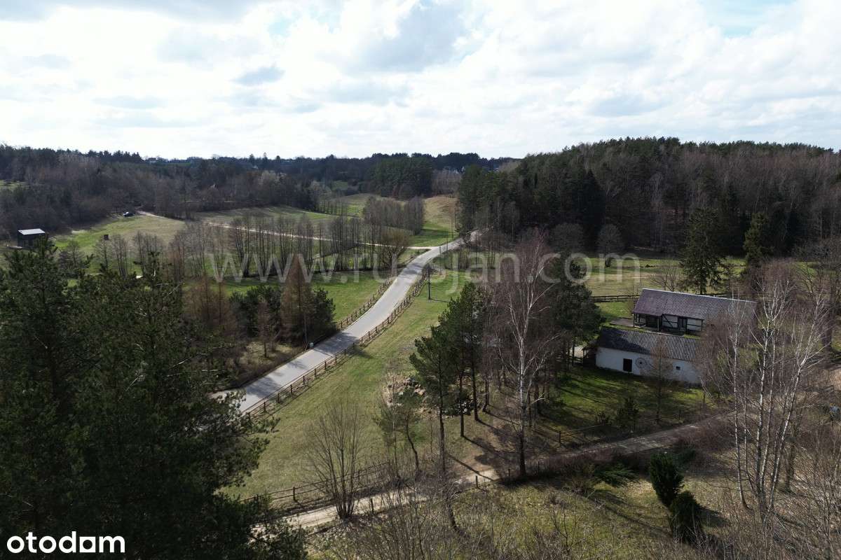 Pomorskie Yellowstone - Pełny obrazek: 4/6