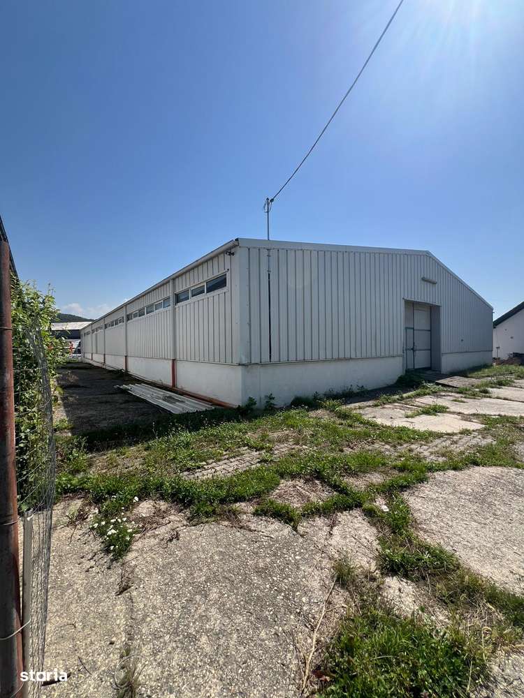 Hală industrială de INCHIRIAT – Tălmaciu Central - Imagine principală: 3/9