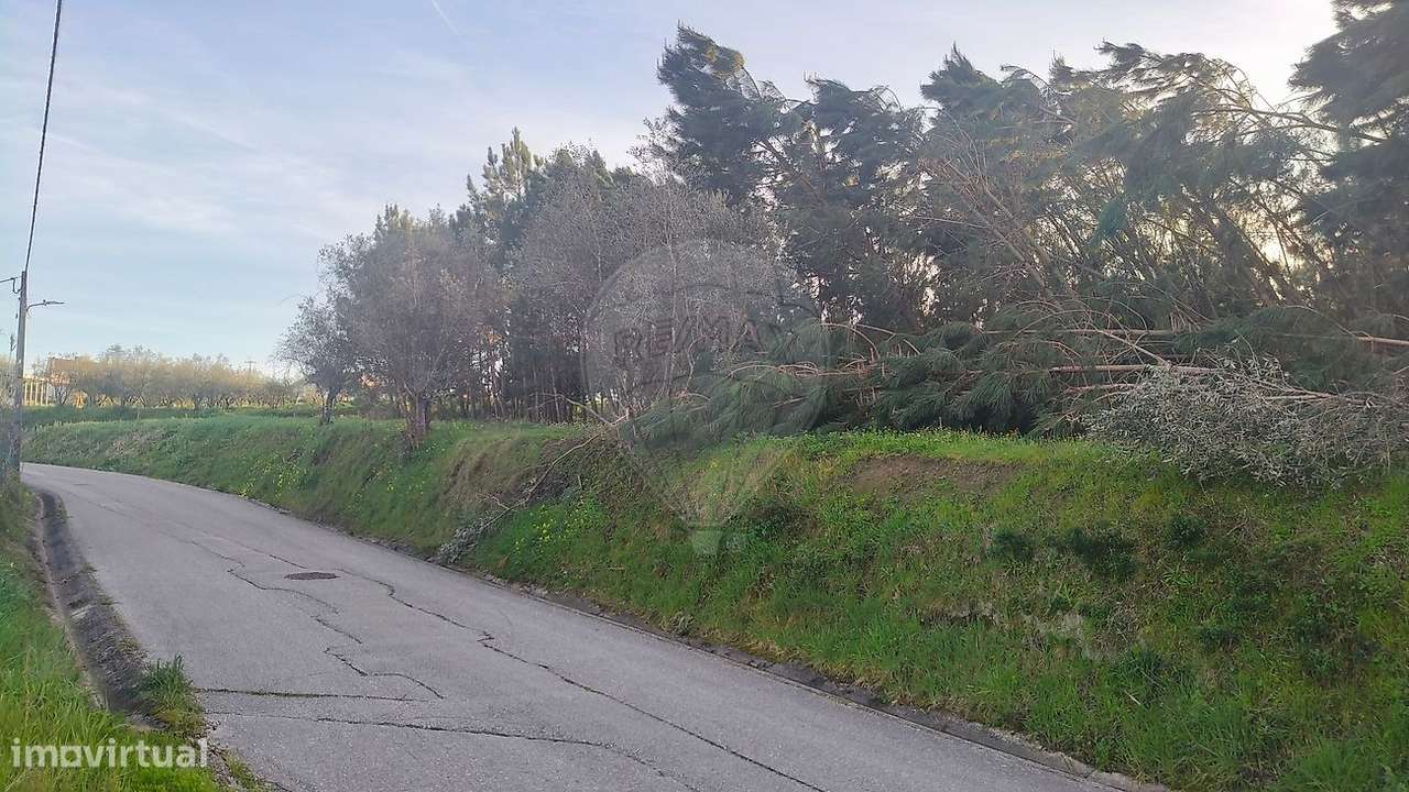 Terreno  para venda - Grande imagem: 4/7