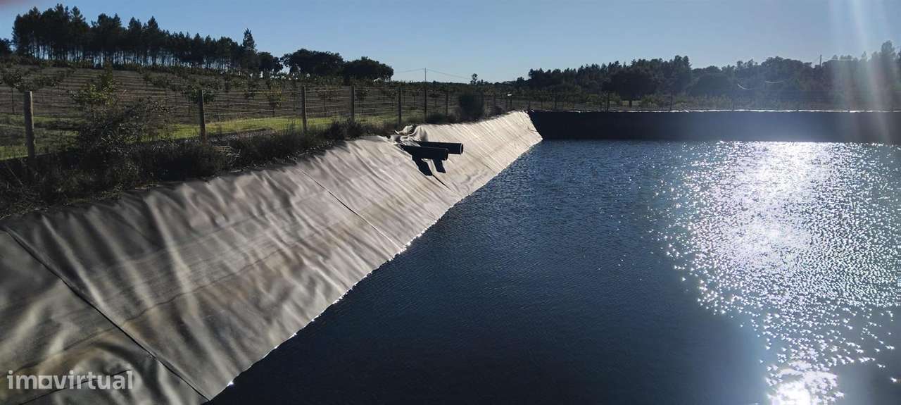 Quinta - Grande imagem: 5/13