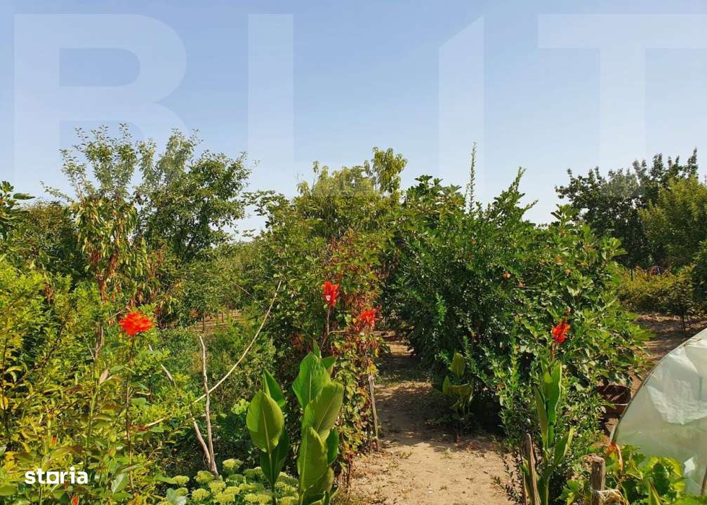 DE VANZARE Casa cu gradina mare in Lugoj - Imagine principală: 4/6