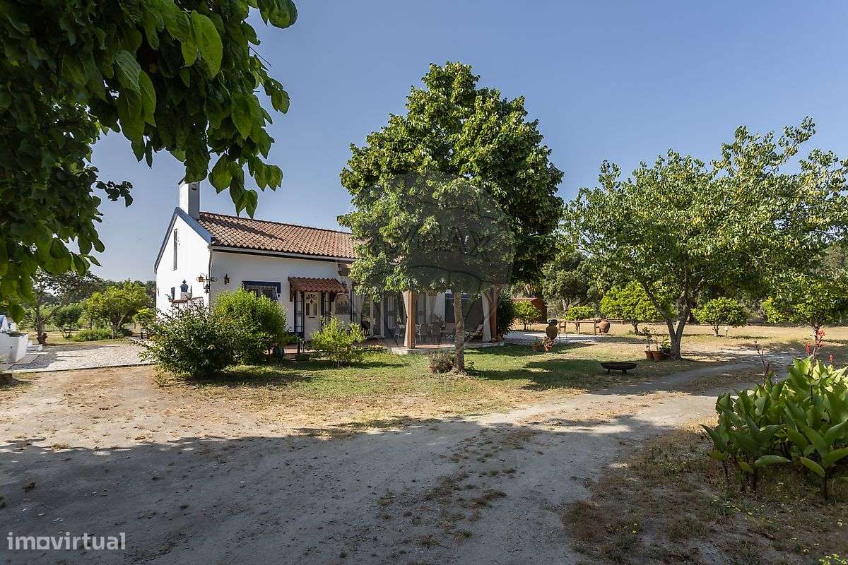 Quinta T3 para venda - Grande imagem: 5/50