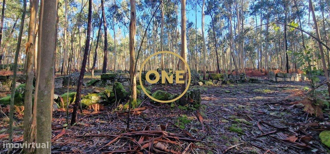 Fantástico Terreno Rústico de 7230m2 em Cabanas, Santo Tirso, Porto - Grande imagem: 3/9