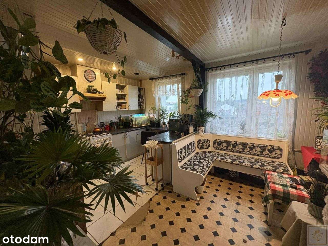 Widok na las, potencjał na 4 pokoje — stwórz tu sw-0