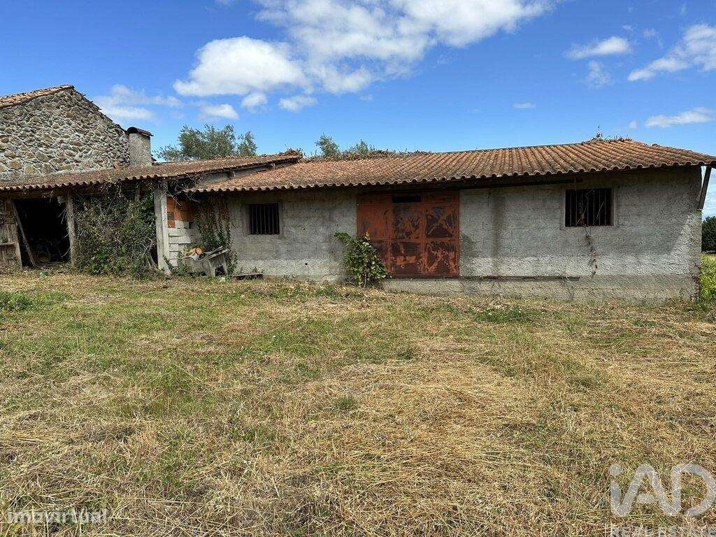 Terreno para construção em Madalena e Samaiões de 4000,00 m2 - Grande imagem: 4/5