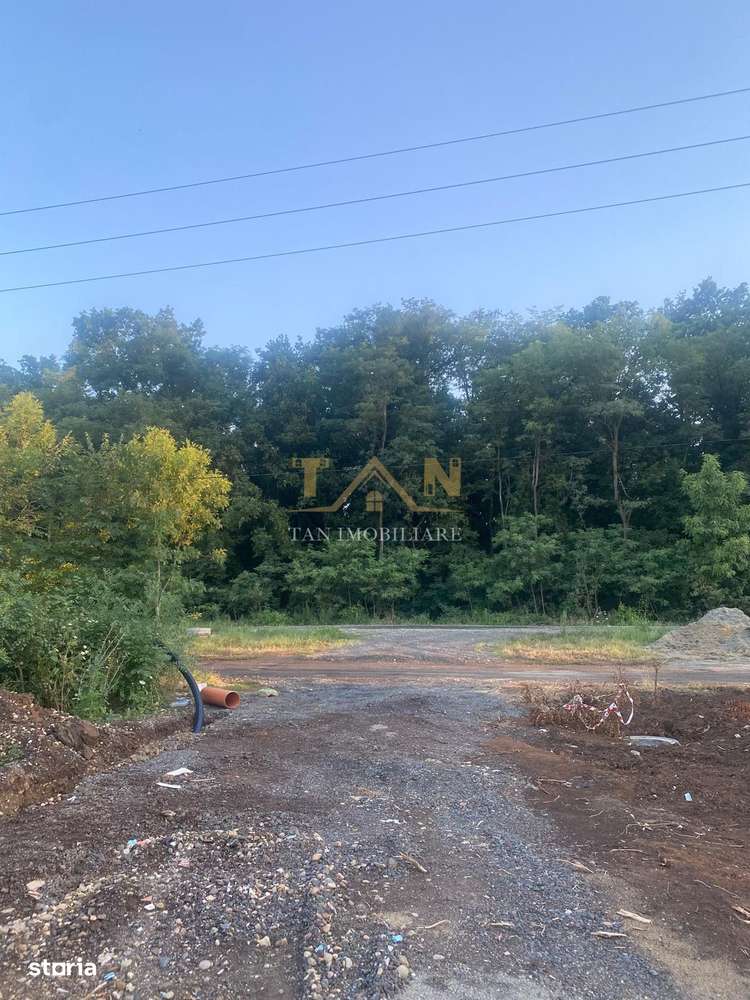 Teren Intravilan Dumbrăvița ,pretabil Duplex - Imagine principală: 5/8