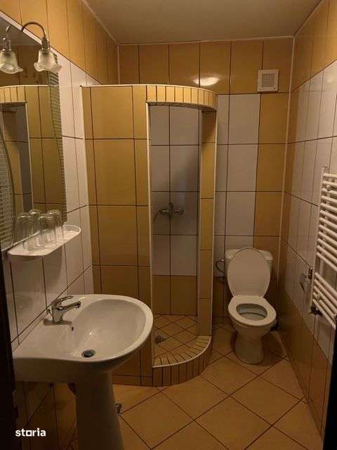 2 Pensiuni la pret de una! Campulung Moldovenesc - 2140 mp-19