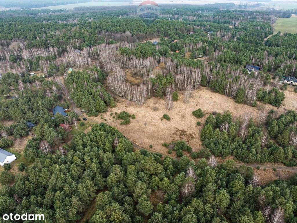 Dwie Piękne Działki Budowlane Karczewko - Pełny obrazek: 5/7