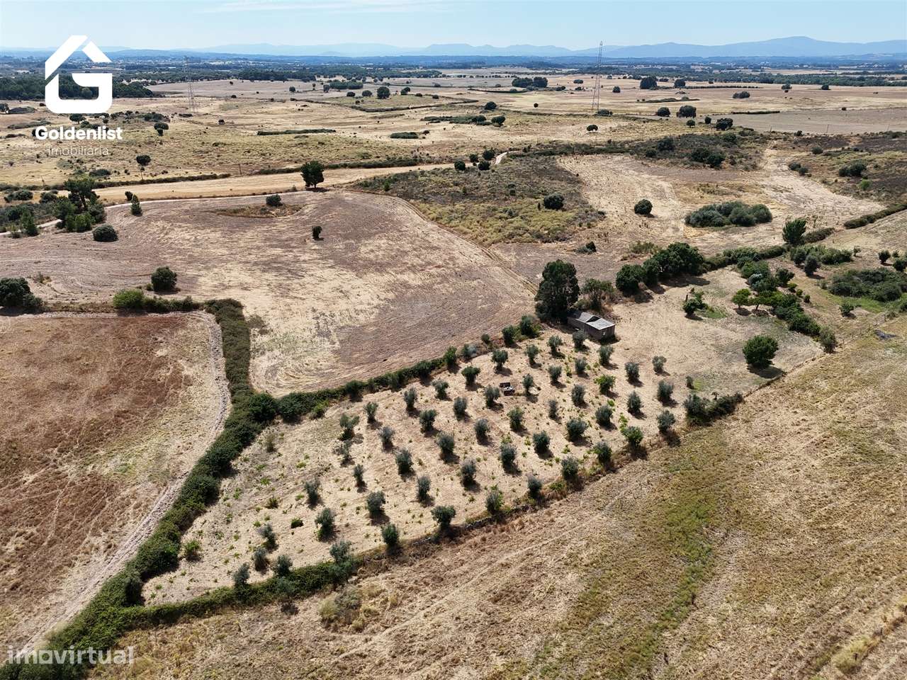 Quintinha  Venda em Escalos de Cima e Lousa,Castelo Branco-10