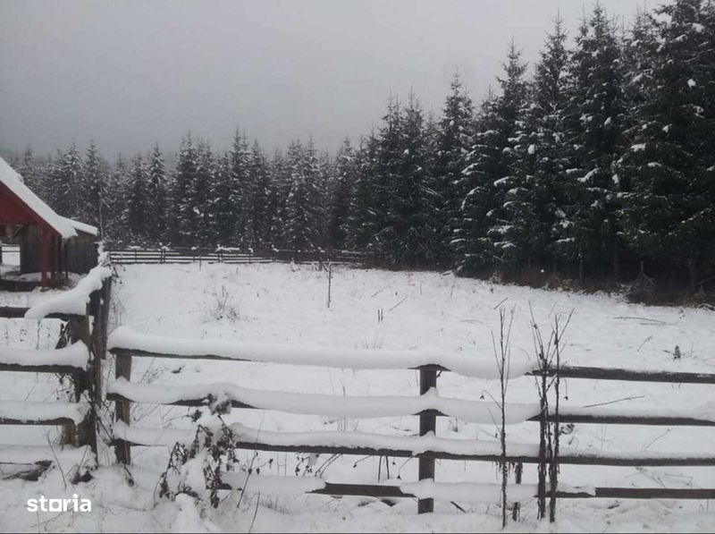 Teren intravilan la munte langa padure