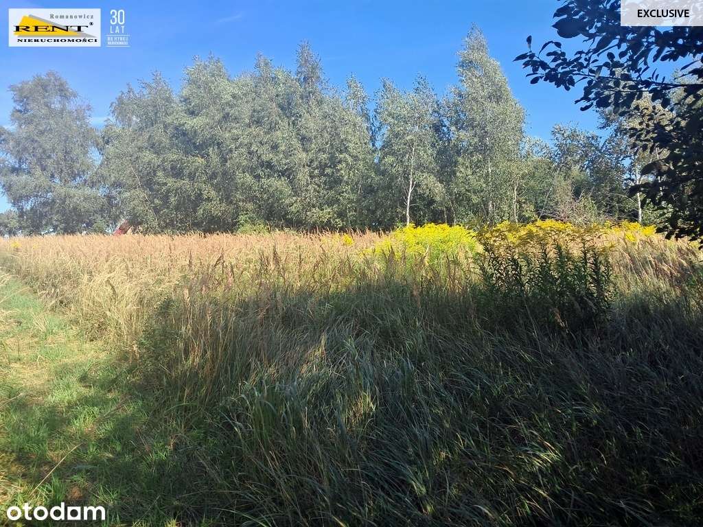 Parlino- Działka pod zabudowę - Pełny obrazek: 4/9