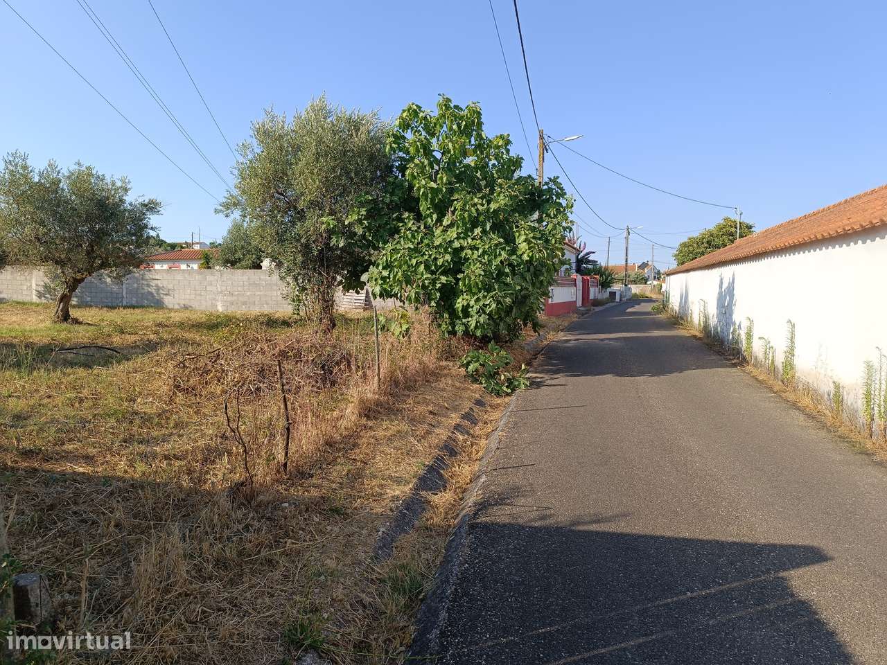 Terreno  Venda em Abrantes (São Vicente e São João) e Alferrarede,Abra - Grande imagem: 5/12