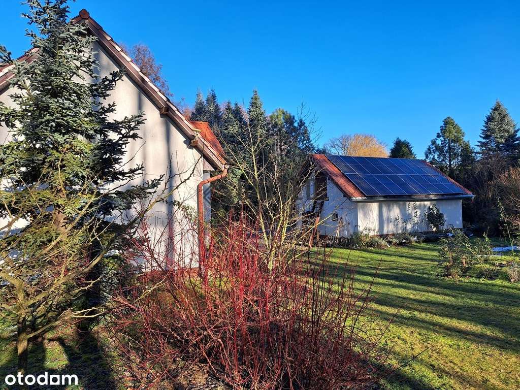 Dom wolnostojący Nowy Dwór k/Jelcza przy lesie. - Pełny obrazek: 5/20