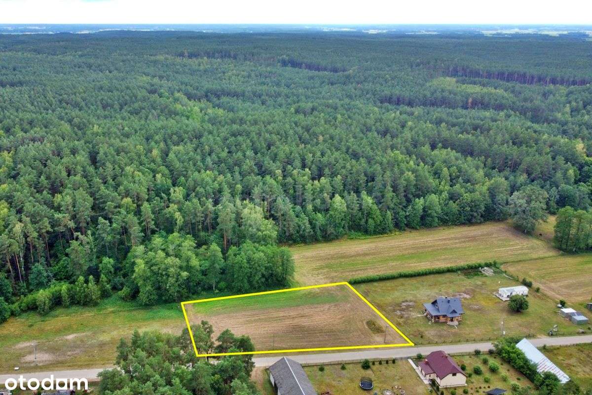 Głębocz Wielki: działka budowlana przy lesie-3