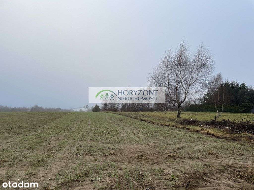 Dobrzewino - działki budowlane-1