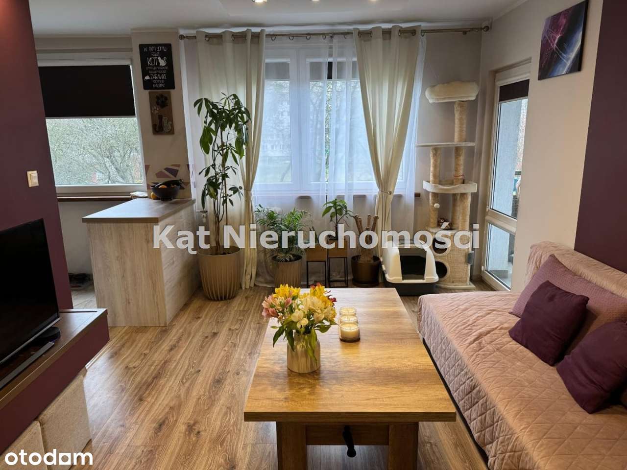 Psie-Pole - 2 pokojowe mieszkanie do sprzedania - Pełny obrazek: 2/13