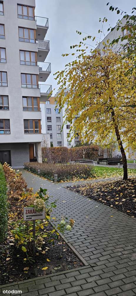 Mieszkanie, 2 pokoje z tarasem – Os. Hubertus, Mokotów | ul. Obrzeżna-9