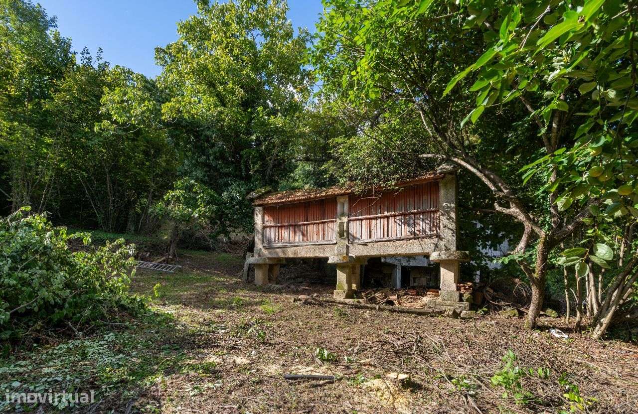 Moradia para restauro em quinta com 1.35Ha - Borbelinha, Adoufe-17