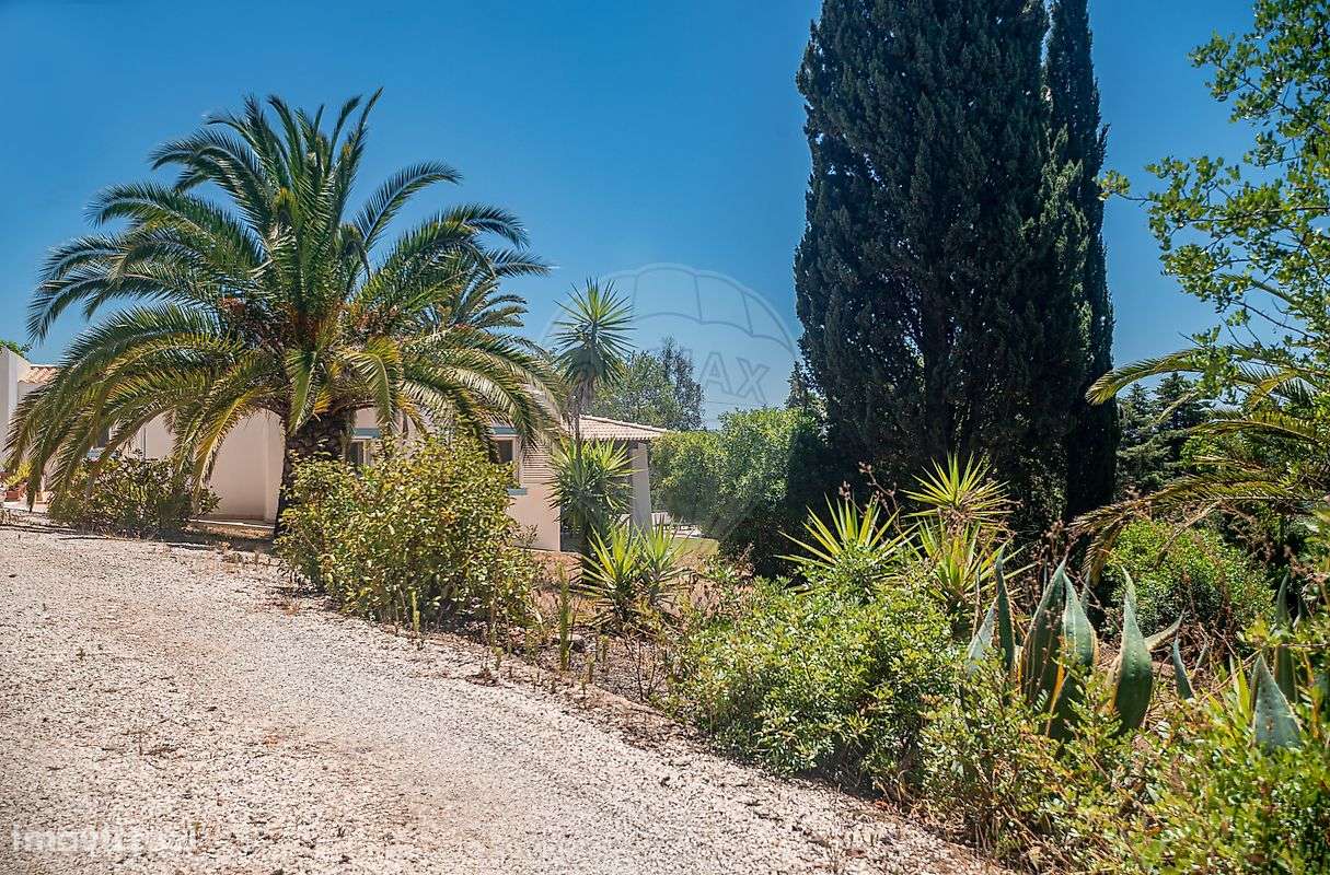 Moradia T4 para arrendamento - Grande imagem: 4/30