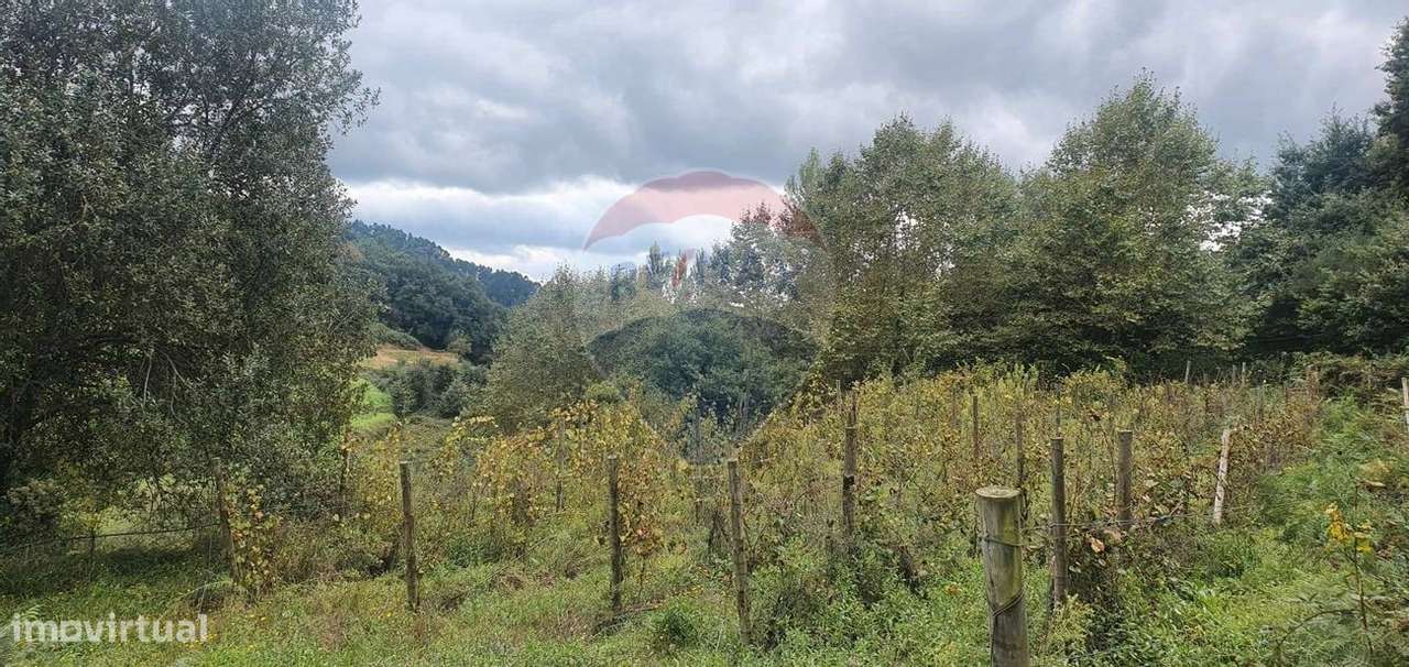 Terreno  para venda - Grande imagem: 4/4