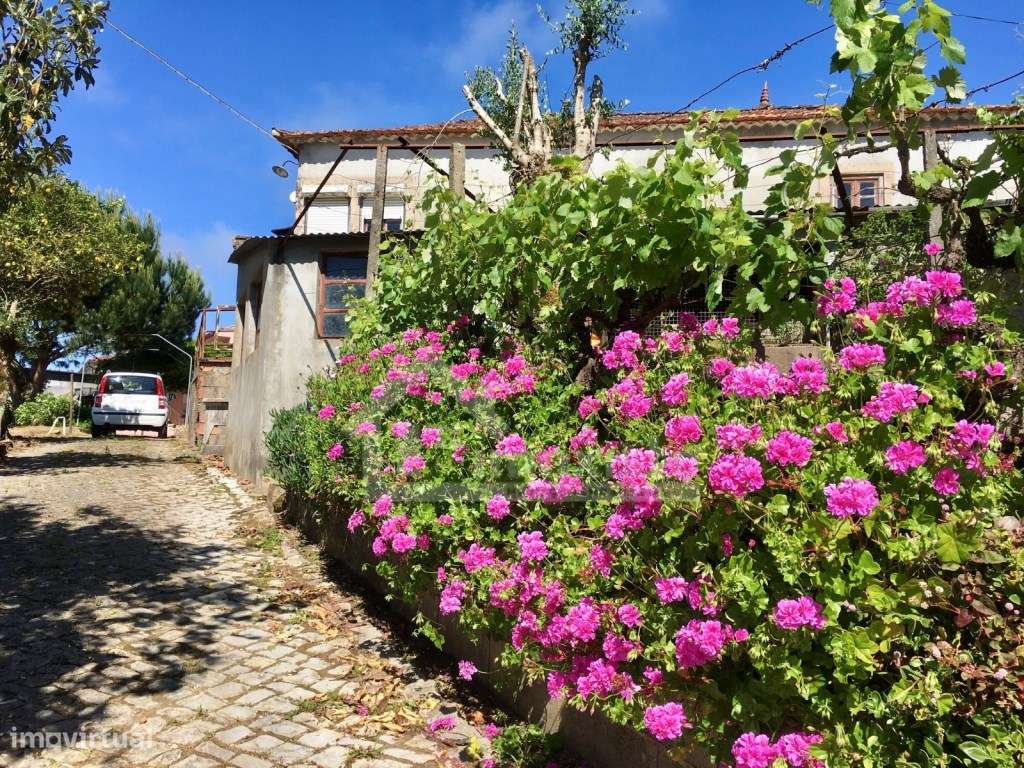 Casa de Campo T3 em Arega, Figueiró dos Vinhos - Grande imagem: 3/53