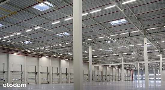 Magazyn do wynajęcia w Krakowie, ul. Półłanki ! - Pełny obrazek: 4/4