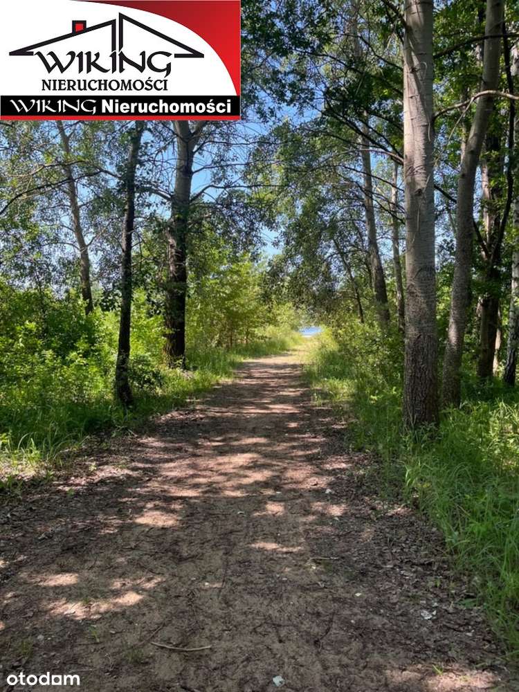 Działka Powidz nad jeziorem Niedzięgiel. - Pełny obrazek: 2/20