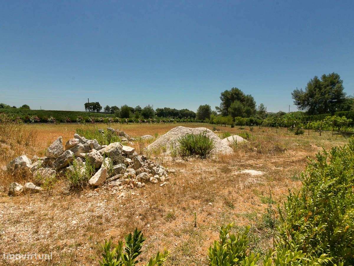 Armazém a 10 Minutos de Santarém - Grande imagem: 5/5