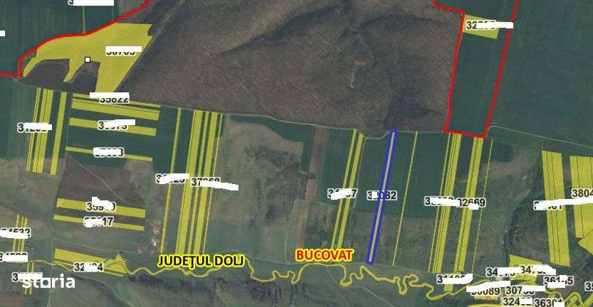 Teren extravilan Loc. Bucovat sat Sarbatoarea, jud. Dolj - Imagine principală: 5/6
