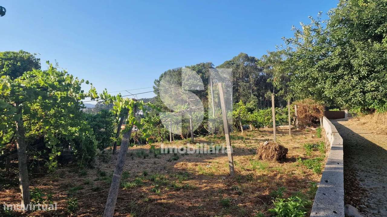 Terreno - potencial de investimento - Astromil - Paredes - Grande imagem: 4/47