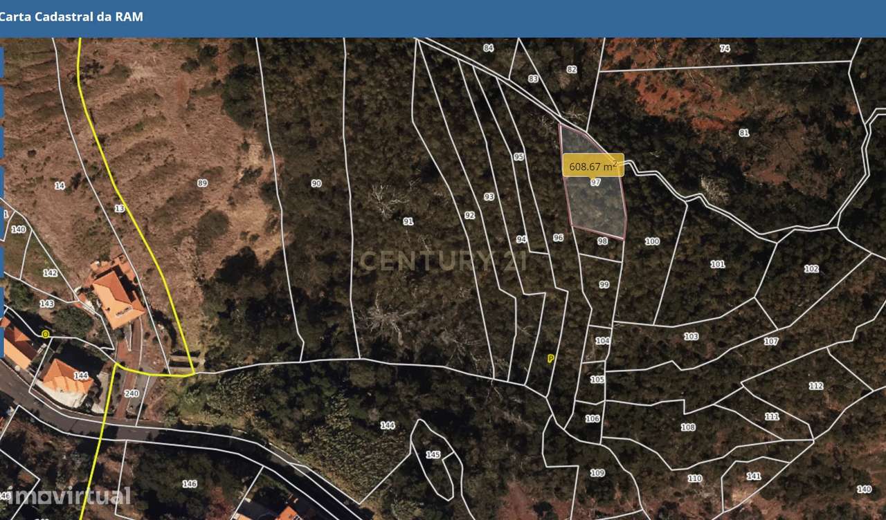 Terreno agrícola - Gaula, Santa Cruz - Ilha da Madeira - Grande imagem: 4/11