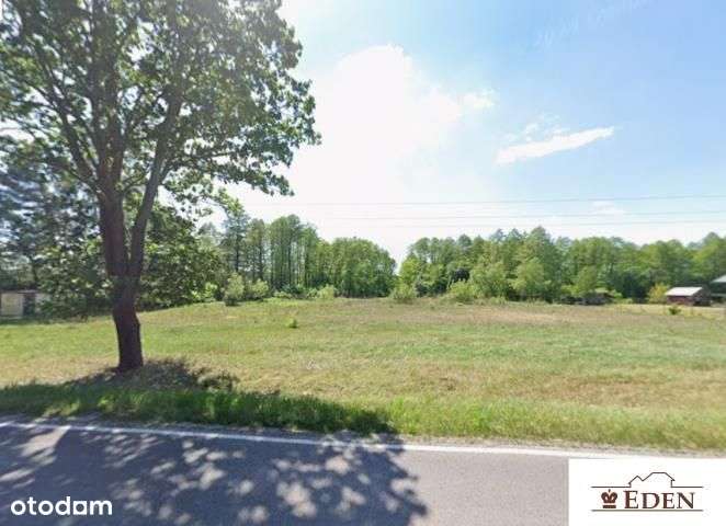 Działka, 29 617 m², Zgórznica-0