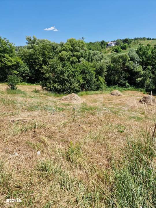 Teren intravilan,  ideal constructie casa, 12 ari in zona Valea Ghinzi - Imagine principală: 3/5