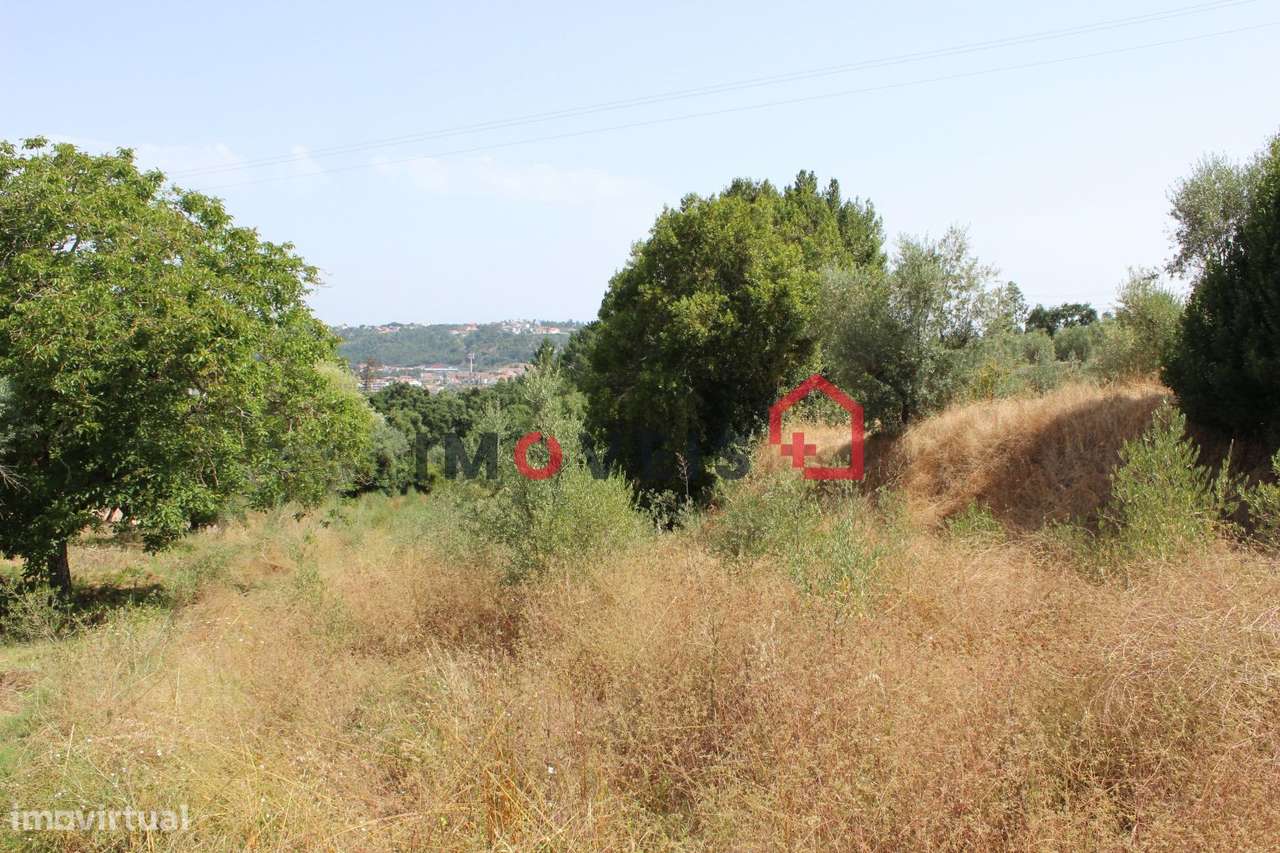 Terreno - Grande imagem: 4/4